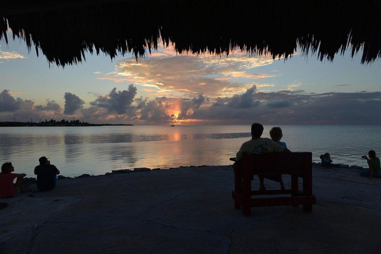 Fiesta Key Rv Resort Waterfront Cottage 36 レイトン エクステリア 写真